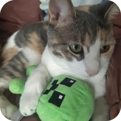 🐱 Стикер «Creeper» для Telegram