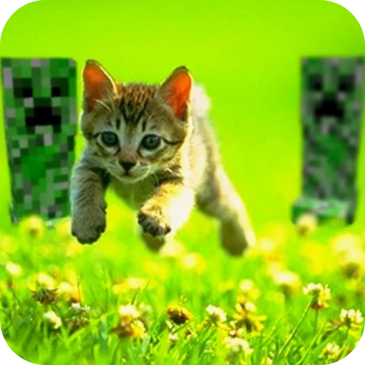 🐱 Стикер «Creeper» для Telegram