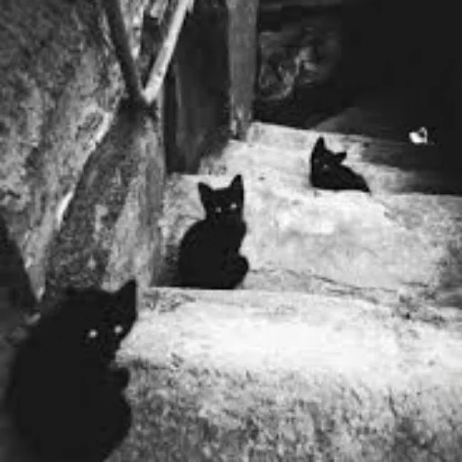 🖤 Стикер «Creepy Pastah» для Telegram