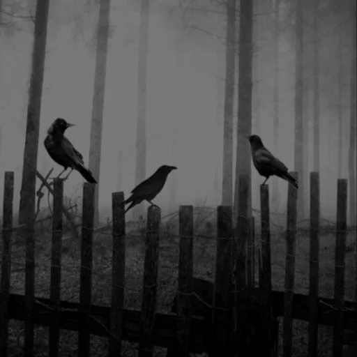 🖤 Стикер «Creepy Pastah» для Telegram