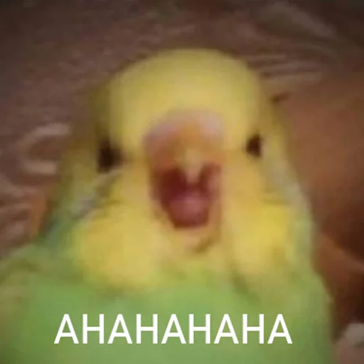 😈 Стикер «CriNgE AnimALs» для Telegram