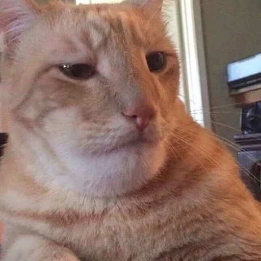 😰 Стикер «CriNgE AnimALs» для Telegram