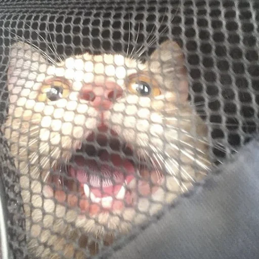 😱 Стикер «CriNgE AnimALs» для Telegram