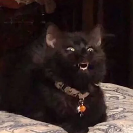 😈 Стикер «CriNgE AnimALs» для Telegram