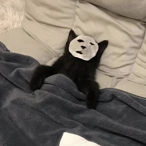 😱 Стикер «CriNgE AnimALs» для Telegram