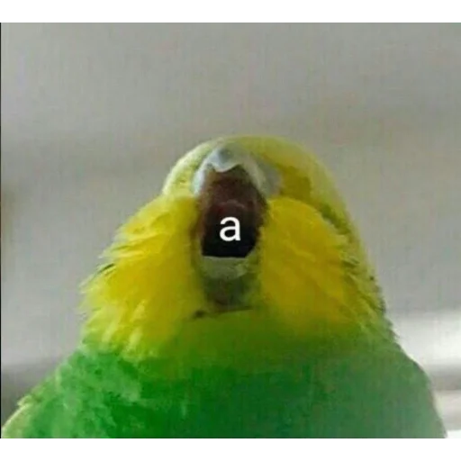 Стикерпак CriNgE AnimALs для Telegram