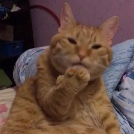 🧐 Стикер «CriNgE AnimALs» для Telegram