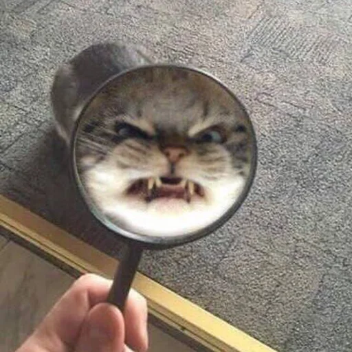 👺 Стикер «CriNgE AnimALs» для Telegram