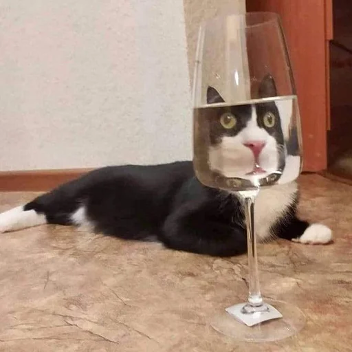 👀 Стикер «CriNgE AnimALs» для Telegram