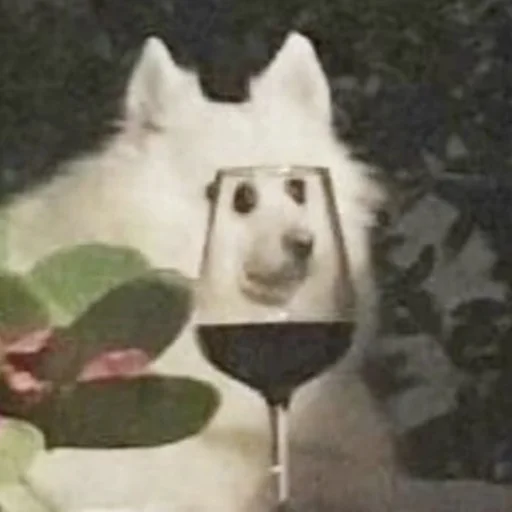 👀 Стикер «CriNgE AnimALs» для Telegram