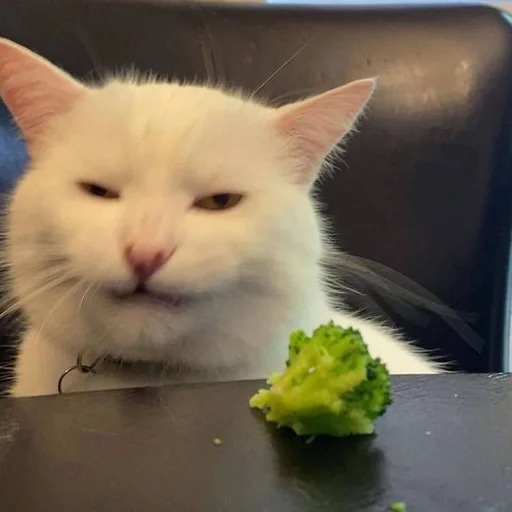 🤢 Стикер «CriNgE AnimALs» для Telegram
