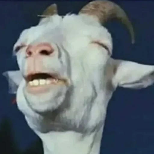 😌 Стикер «CriNgE AnimALs» для Telegram