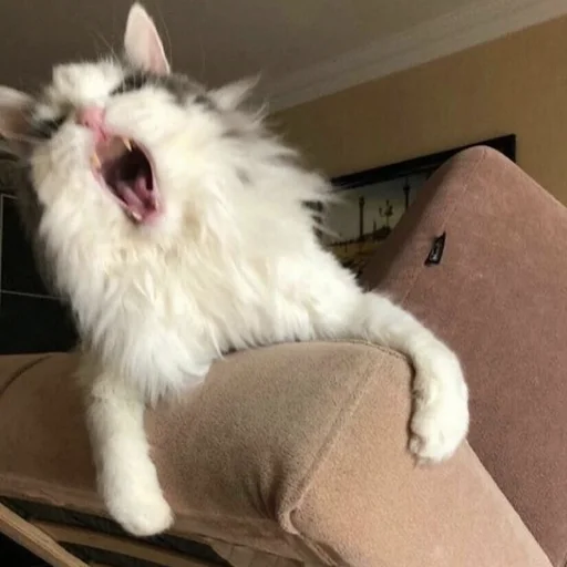 😡 Стикер «CriNgE AnimALs» для Telegram