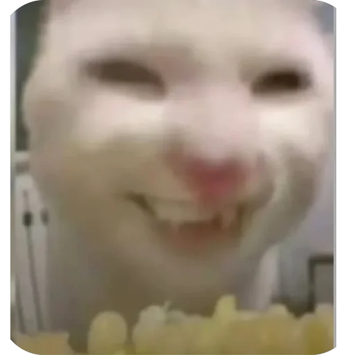 😄 Стикер «CriNgE AnimALs» для Telegram