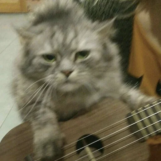 😒 Стикер «CriNgE AnimALs» для Telegram