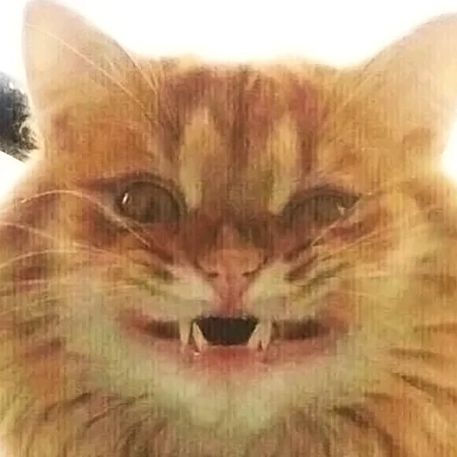 🤤 Стикер «CriNgE AnimALs» для Telegram