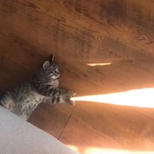 🌟 Стикер «CriNgE AnimALs» для Telegram