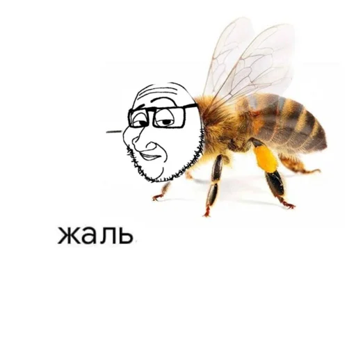 🐝 Стикер «Кринжовые сойджаки» для Telegram