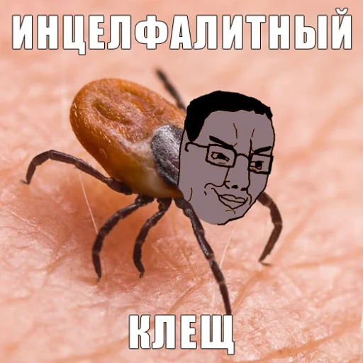 🐞 Стикер «Кринжовые сойджаки» для Telegram