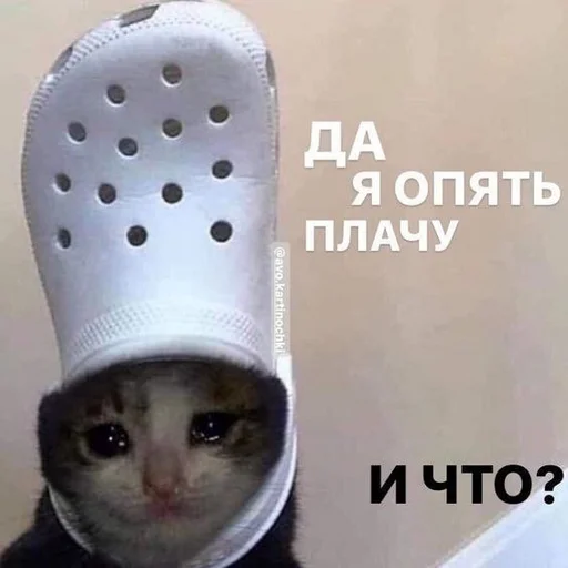 Стикерпак Crying cats v. 2 для Telegram