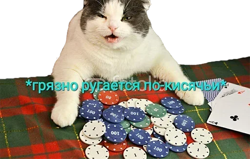 🤬 Стикер «Crying cats v. 2» для Telegram