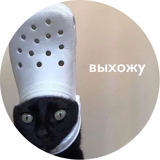 👣 Стикер «Crying cats v. 2» для Telegram