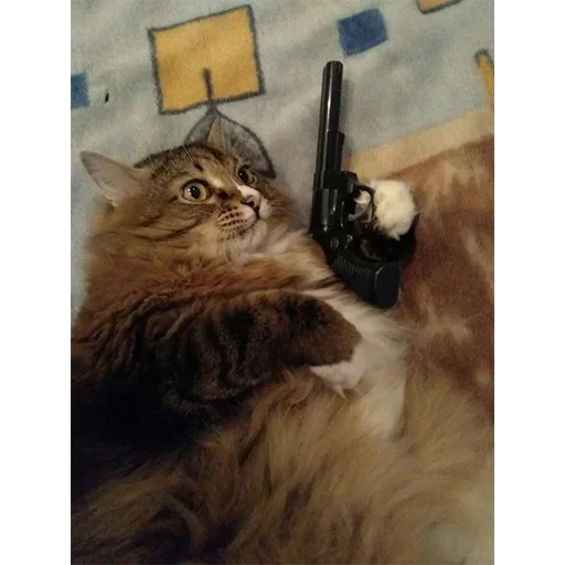 😶 Стикер «Crying cats v. 2» для Telegram
