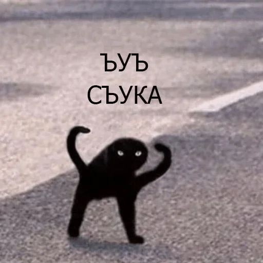 😾 Стикер «Crying cats v. 2» для Telegram