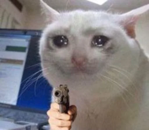 🤫 Стикер «Crying cats v. 2» для Telegram