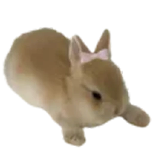 🐰 Эмодзи «wonderland - рандомные кьют эмодзи» для Telegram