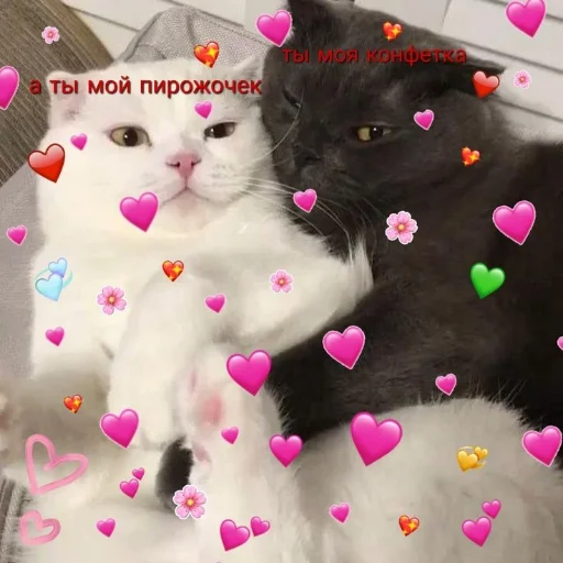 Стикерпак Crumple in bed для Telegram