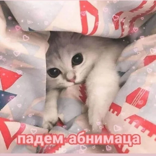 🤗 Стикер «Crumple in bed» для Telegram