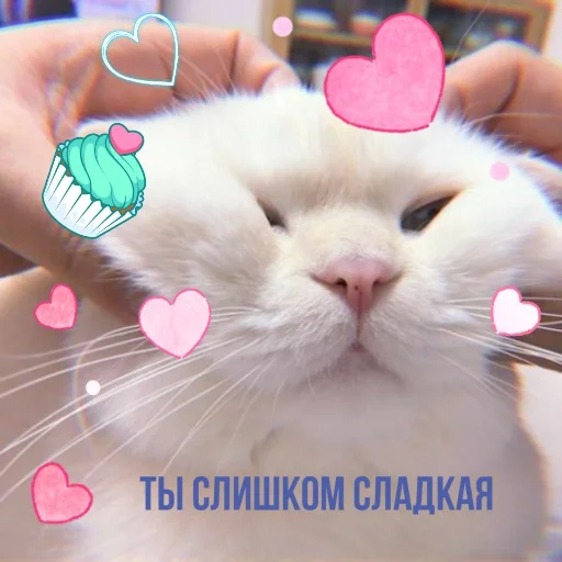 🍬 Стикер «Crumple in bed» для Telegram
