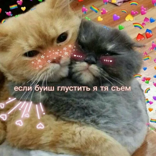 🙃 Стикер «Crumple in bed» для Telegram