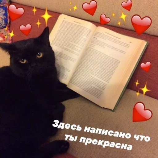 😍 Стикер «Crumple in bed» для Telegram
