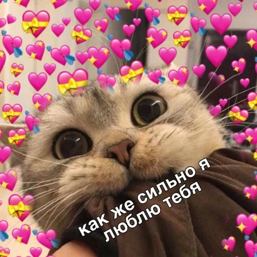 💕 Стикер «Crumple in bed» для Telegram