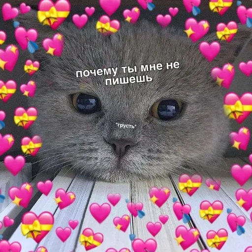 😔 Стикер «Crumple in bed» для Telegram