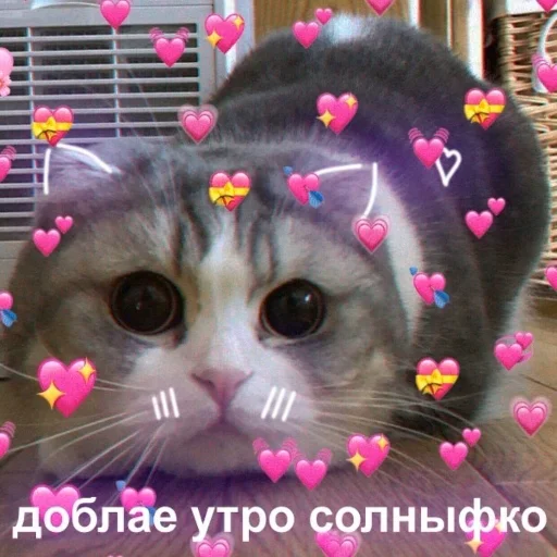 🌅 Стикер «Crumple in bed» для Telegram