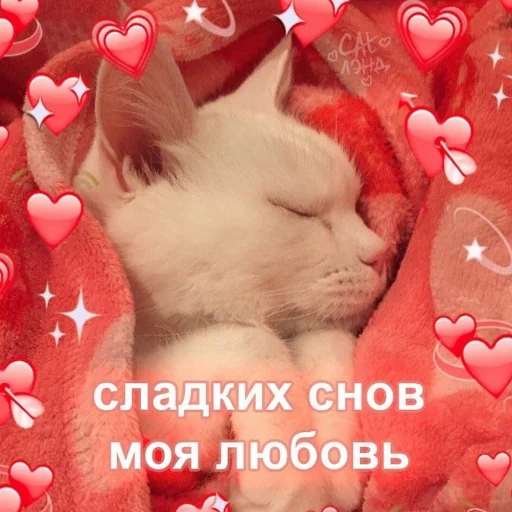 😴 Стикер «Crumple in bed» для Telegram