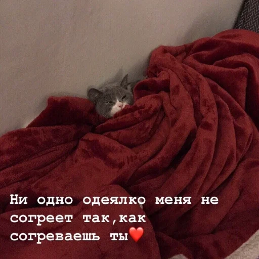 🥰 Стикер «Crumple in bed» для Telegram