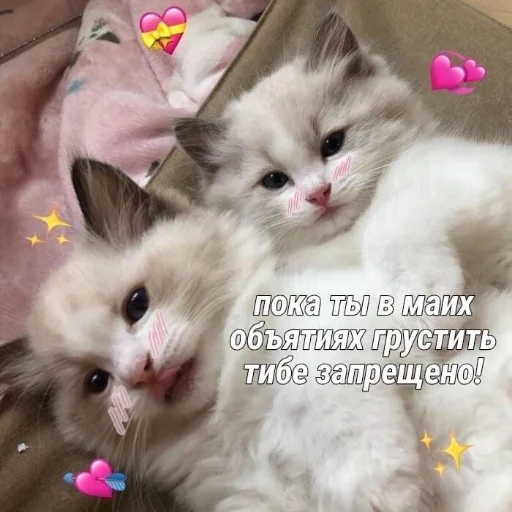 😌 Стикер «Crumple in bed» для Telegram