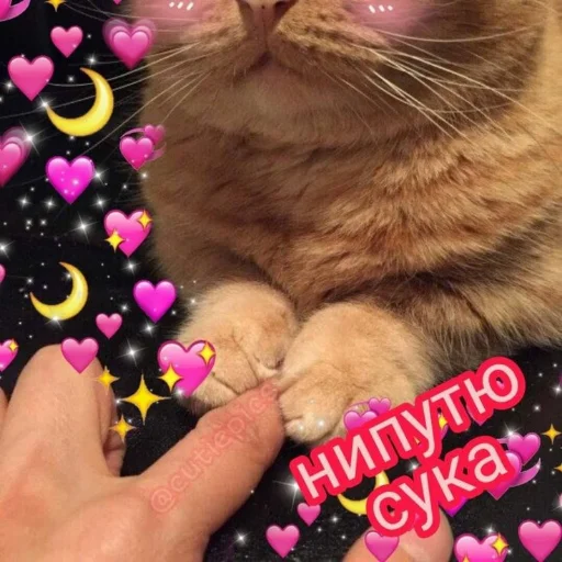 😠 Стикер «Crumple in bed» для Telegram