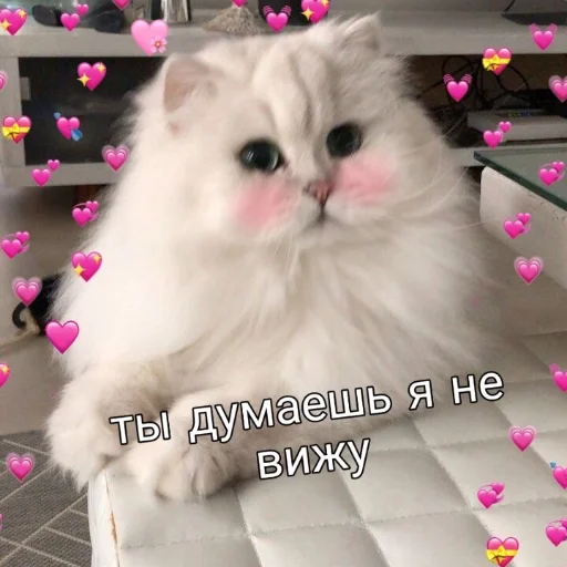 🥺 Стикер «Crumple in bed» для Telegram
