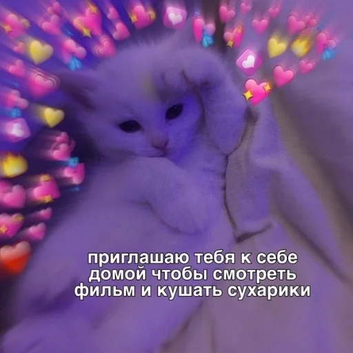 😏 Стикер «Crumple in bed» для Telegram