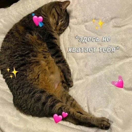 😔 Стикер «Crumple in bed» для Telegram
