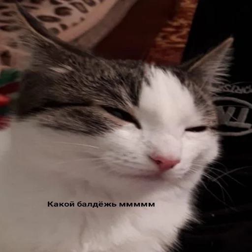 😏 Стикер «Crumple in bed» для Telegram