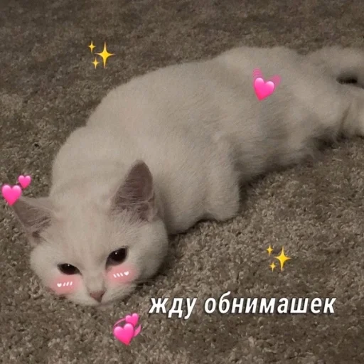 🥺 Стикер «Crumple in bed» для Telegram