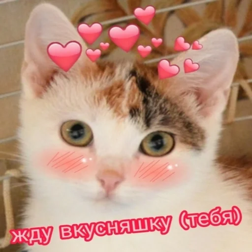 🙂 Стикер «Crumple in bed» для Telegram