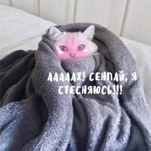 🙈 Стикер «Crumple in bed» для Telegram