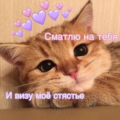 😍 Стикер «Crumple in bed» для Telegram